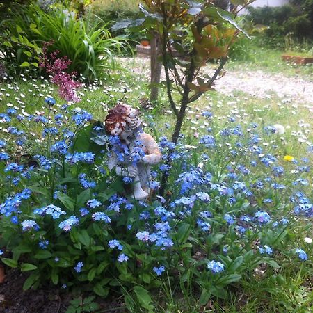 Les 3 Roses Bed & Breakfast Villeneuve-sur-Yonne Luaran gambar