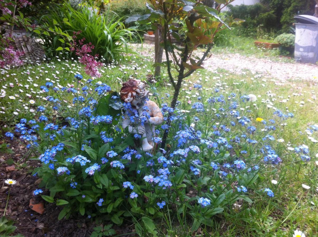 Les 3 Roses Bed & Breakfast Villeneuve-sur-Yonne Luaran gambar