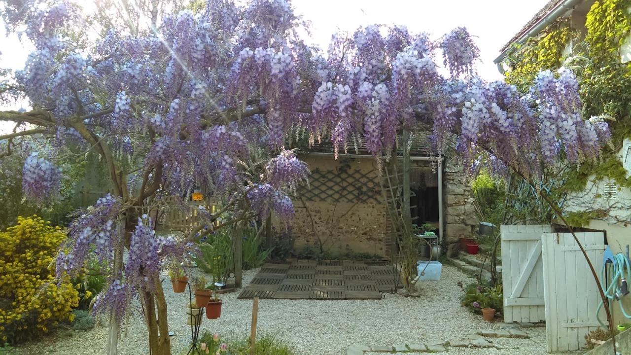Les 3 Roses Bed & Breakfast Villeneuve-sur-Yonne Luaran gambar